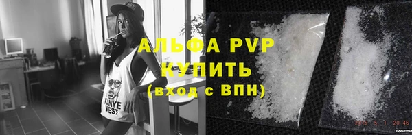 крисы Алзамай