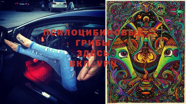 первитин Армянск
